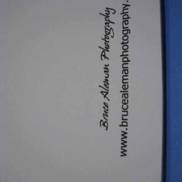 Lot of 4 Real Photo Art Print Cards Lot #1 - Picture 10 of 10